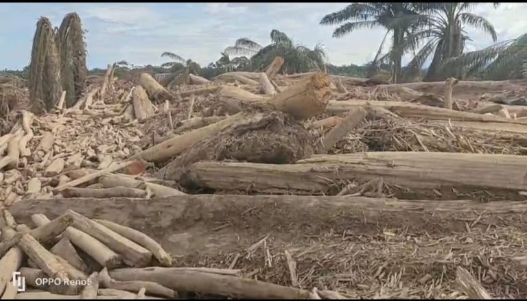 Bencana Tanah Longsor