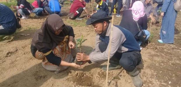 Gelar 1000 Tanam Pohon di Cisanti, PB PMII Aplikasikan Kepedulian dengan Alam