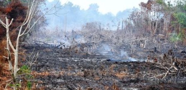 Siaga Darurat Kebakaran Hutan Dan Lahan Siaga Darurat Kebakaran Hutan Dan Lahan