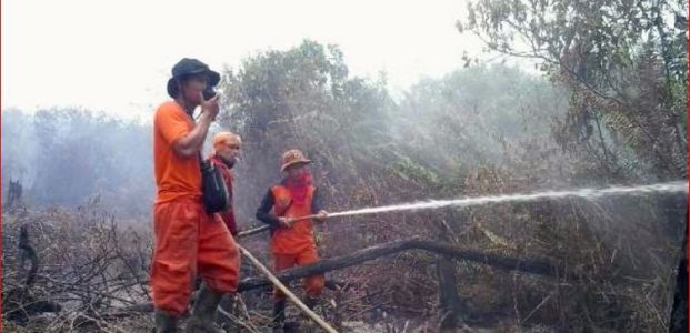 Kebakaran Hutan Dan Lahan Terus Berlangsung Di Kalimantan Barat