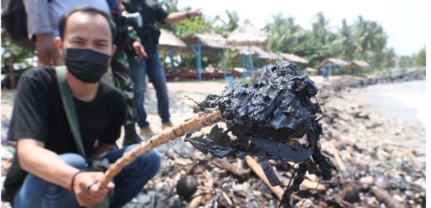 Walhi Minta Pemerintah Ungkap Pencemaran Limbah Aspal di Pesisir Lampung