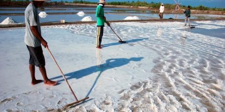 Pemerintah dan BPPT Kembangkan Garam di Kupang