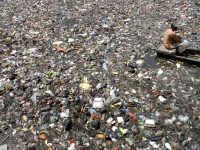 Sampah Cemari Sungai Surabaya.